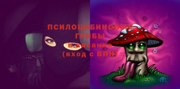 прущие крисы Нефтекумск