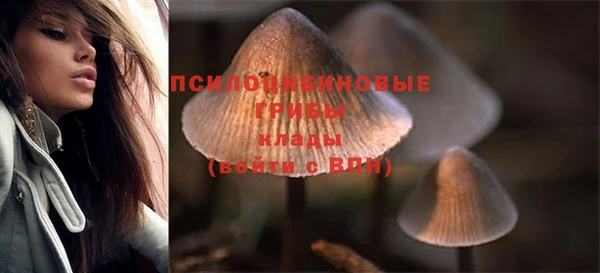 mdma Рославль