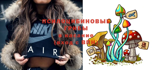 прущие крисы Нефтекумск