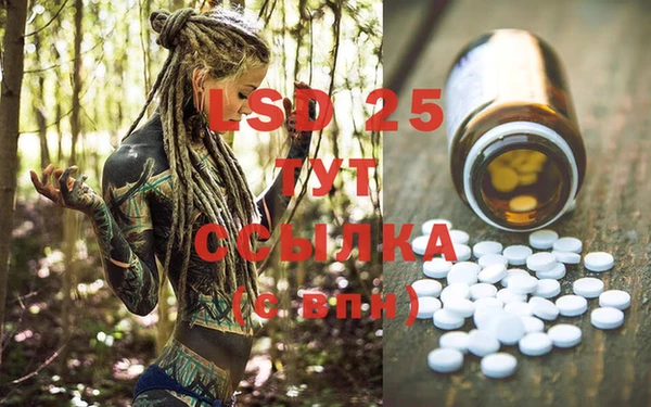 PSILOCYBIN Алзамай