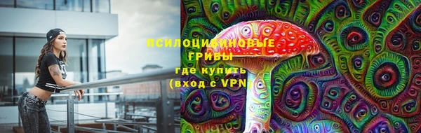 прущие крисы Нефтекумск