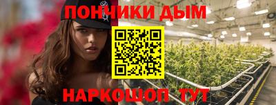 apvp Кимры