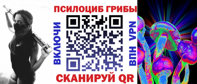 гидра вход  купить закладку  Челябинск  Галлюциногенные грибы Magic Shrooms 