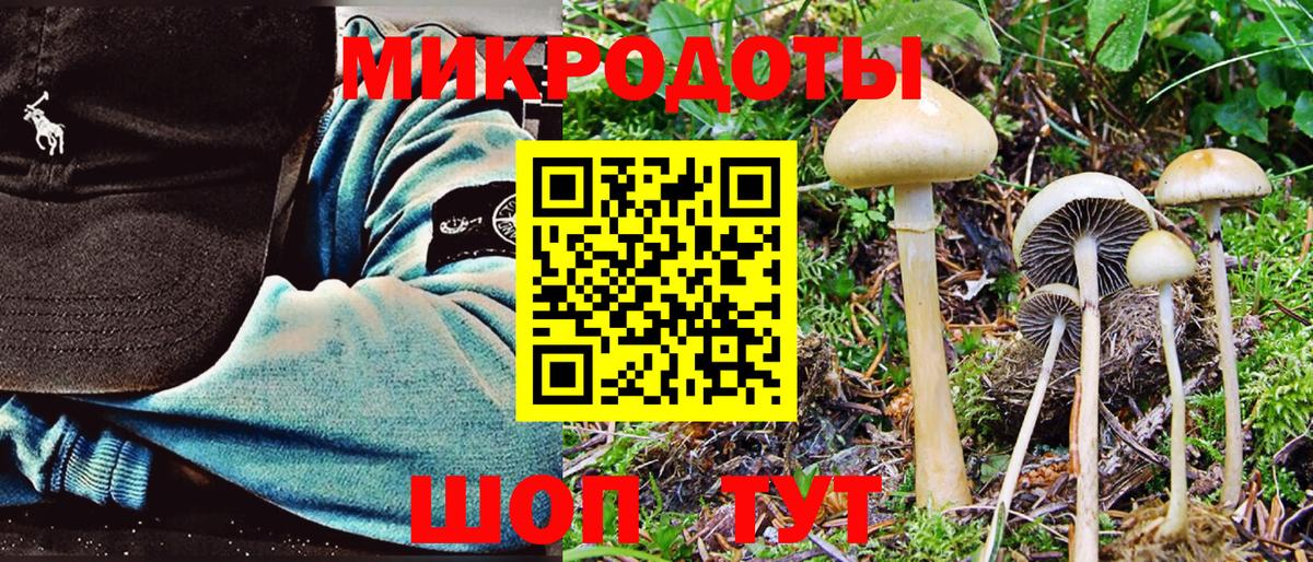 Псилоцибиновые грибы ЛСД Челябинск