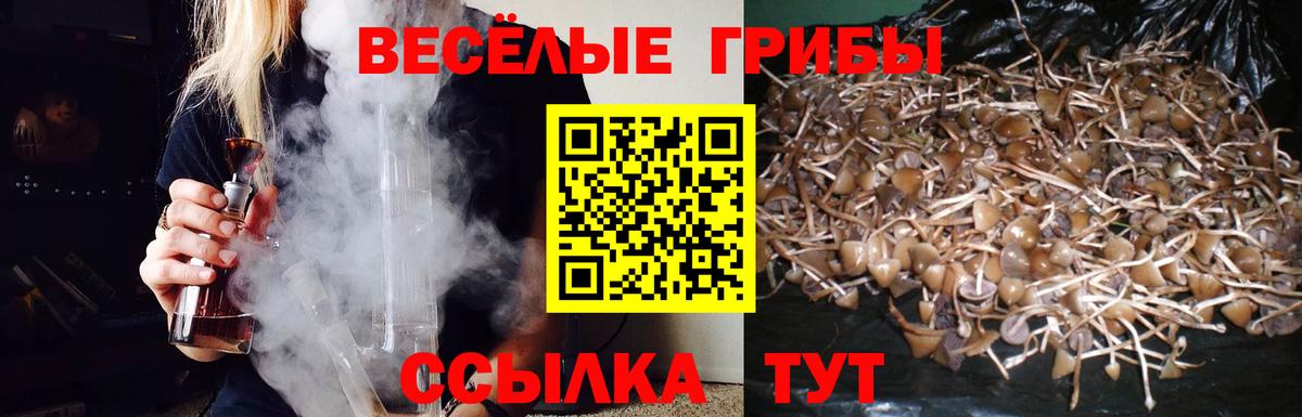 Псилоцибиновые грибы MAGIC MUSHROOMS  Вход с VPN  Челябинск  Галлюциногенные грибы мухоморы 